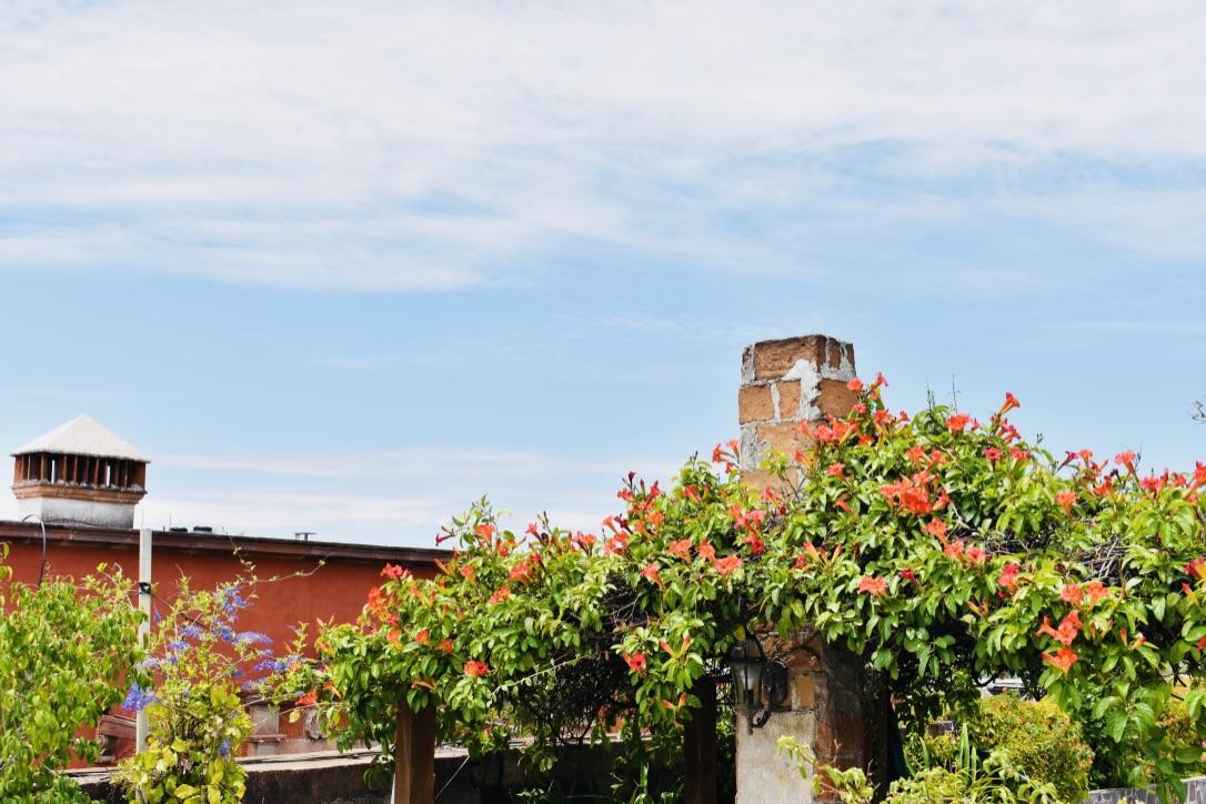 Casa Relox 23 Lejlighed San Miguel de Allende Eksteriør billede