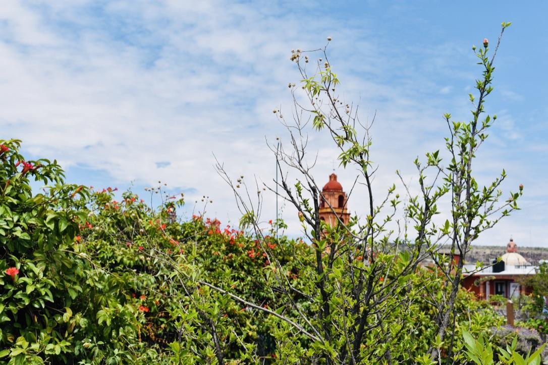 Casa Relox 23 Lejlighed San Miguel de Allende Eksteriør billede